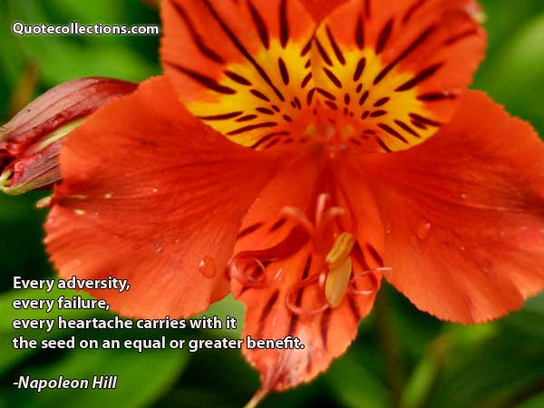 Napoleon Hill Quotes2